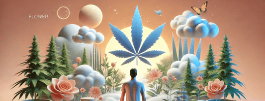 Does CBD Flower Get You High?