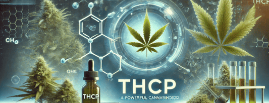 Is THCP Safe to Use? Side Effects You Need to Know