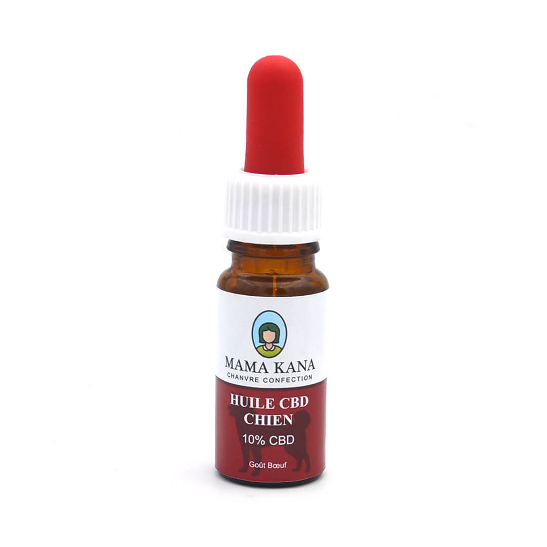CBD Oil for Dog 10% 🐶