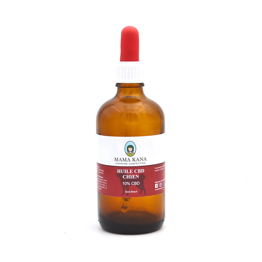 CBD Oil for Dog 10% 🐶