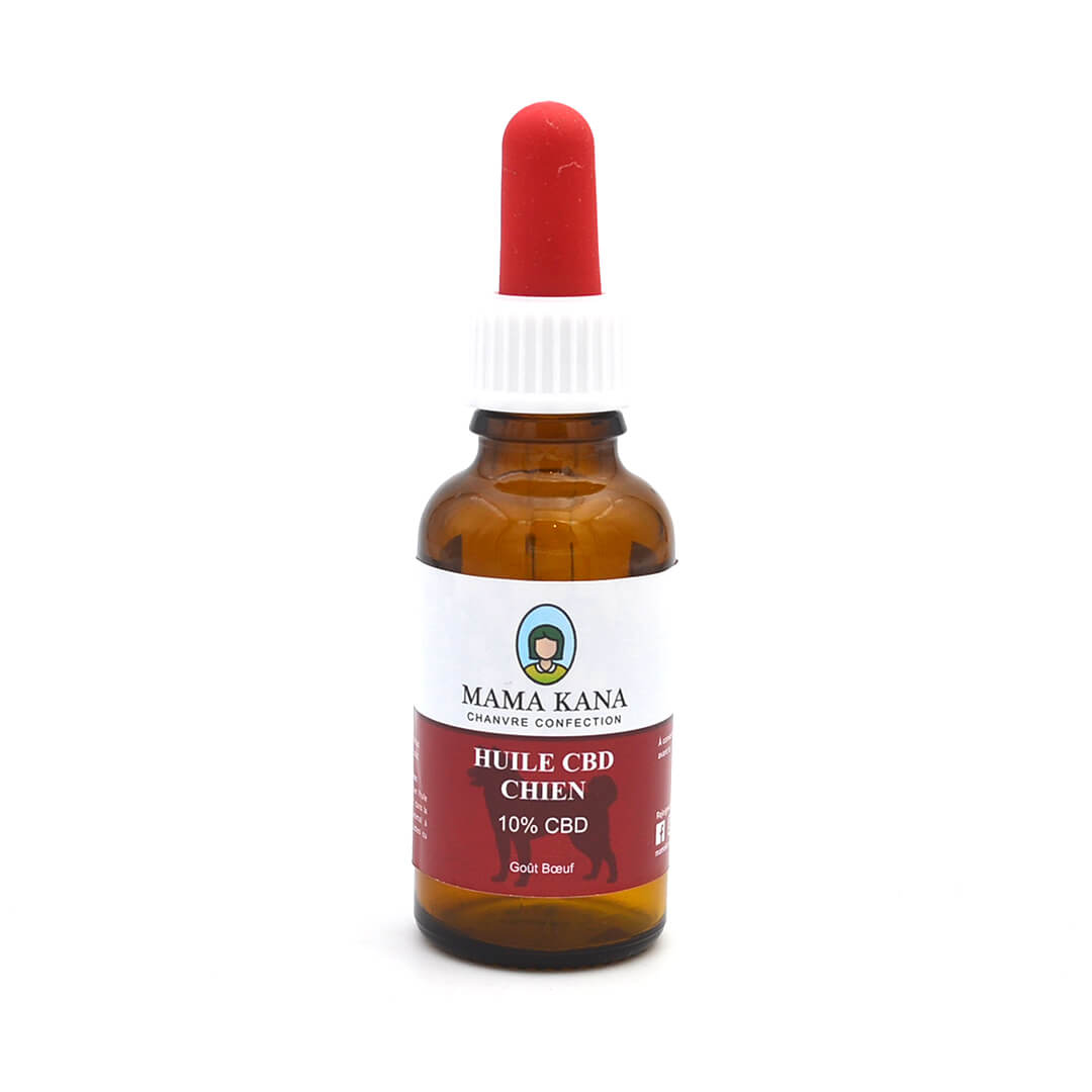 CBD Oil for Dog 10% 🐶