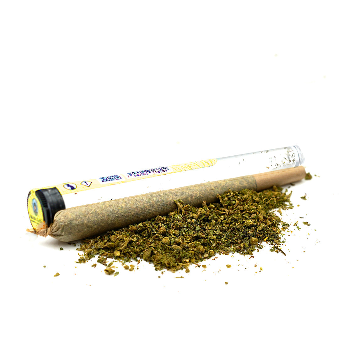 Pre-roll Critical CBD 🔱