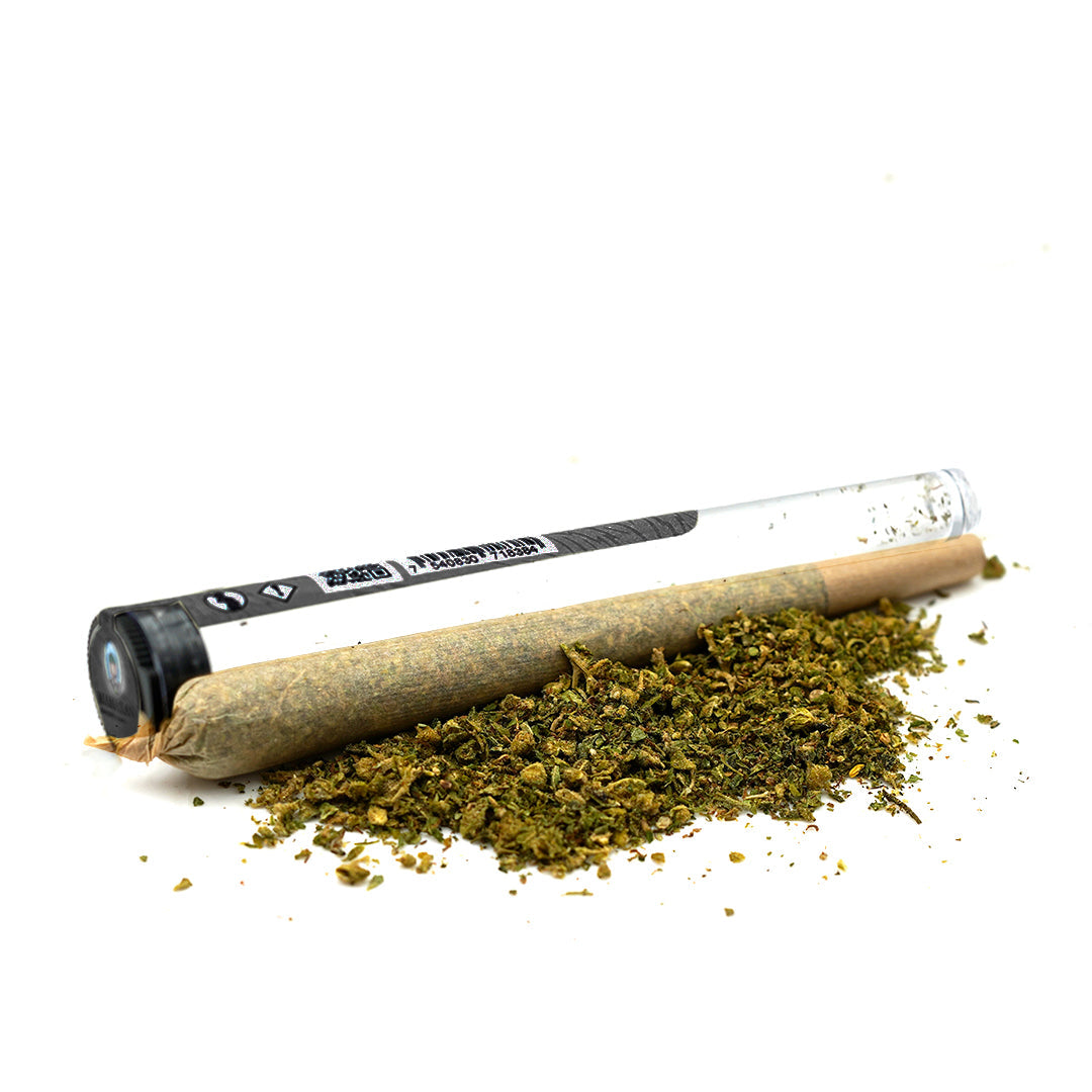 Pre-Roll Super Skunk CBD ⚕