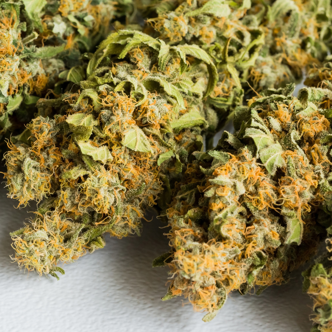 Does CBD Flower Go Bad? How to Know When It’s Time to Replace It