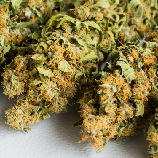 Does CBD Flower Go Bad? How to Know When It’s Time to Replace It