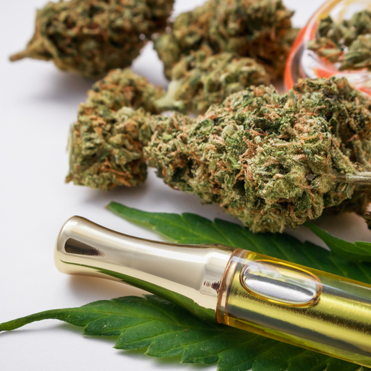 Full Spectrum vs. THC-Free: Which CBD Product Fits Your Lifestyle?