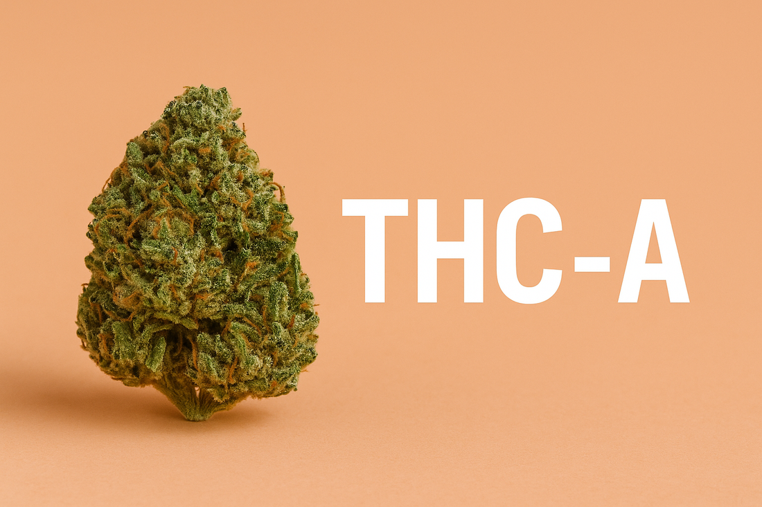 Why THC-A Is Becoming the New Darling of the Cannabis Market