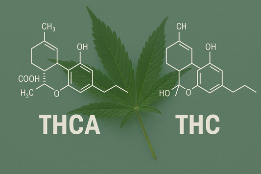 What Is THCa and How Does It Differ from Traditional THC ?
