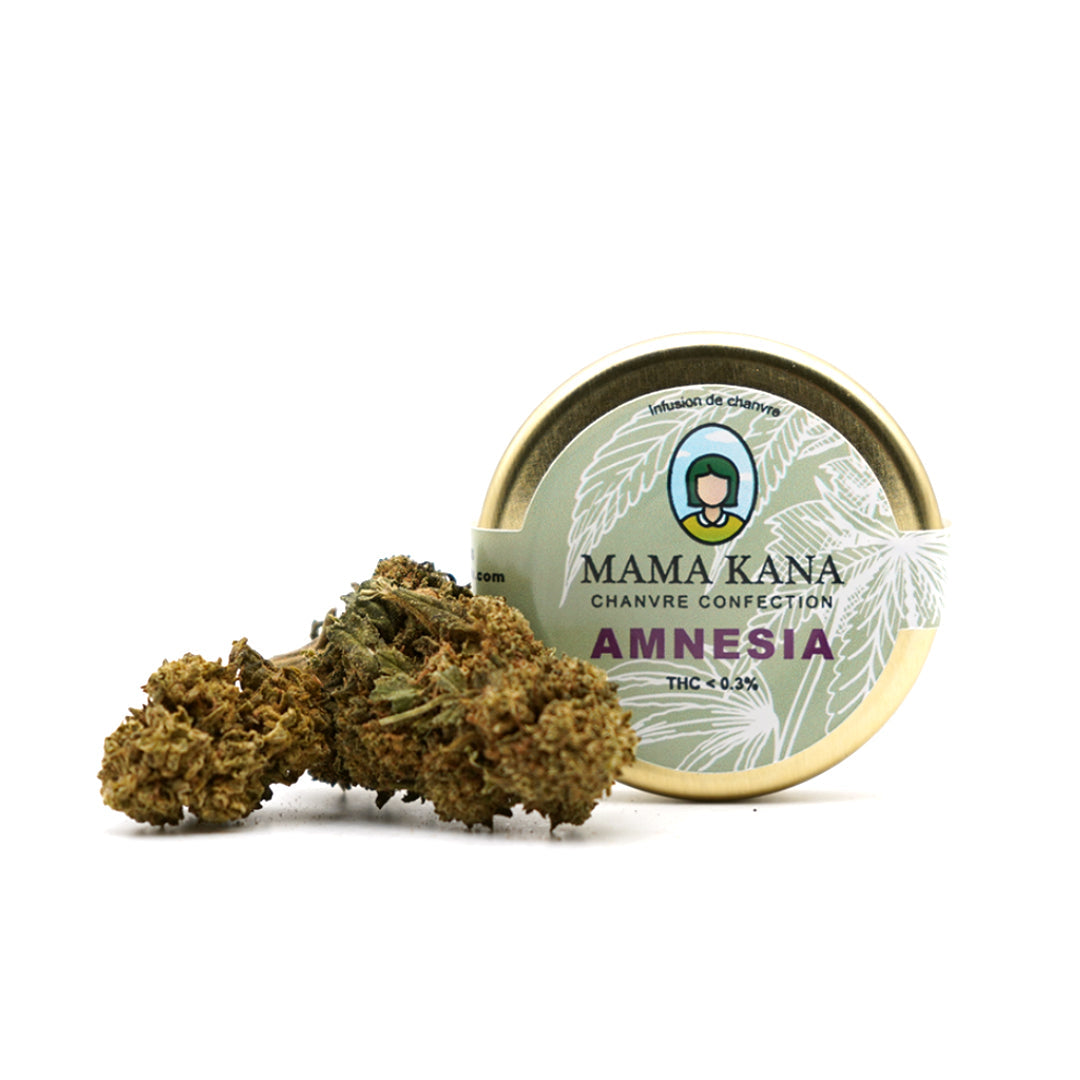 Amnesia CBD 🌌 [Indoor] – MAMA USA